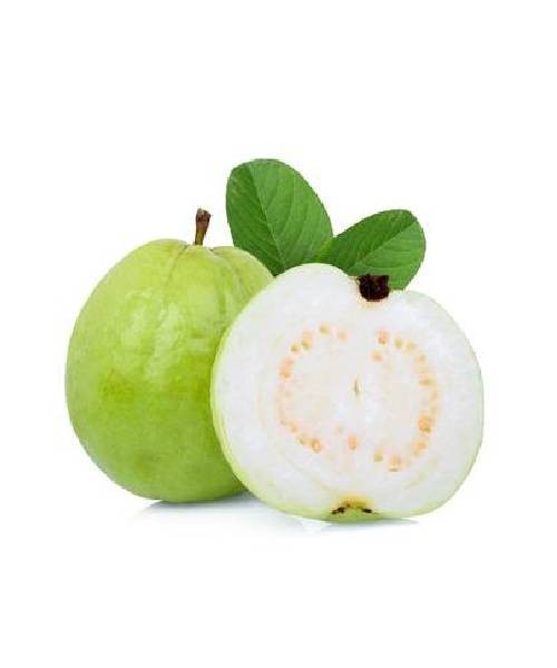 Guava Thai - 450g To 550g