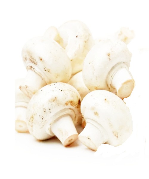 Mushroom White Button - 140g To 160g