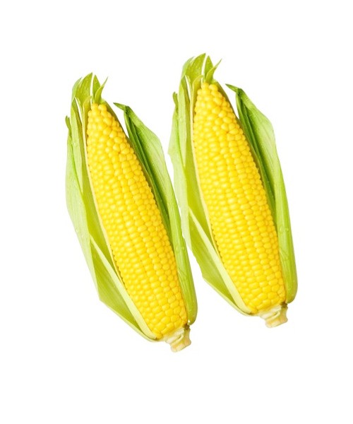 Sweet Corn Yellow 2pc