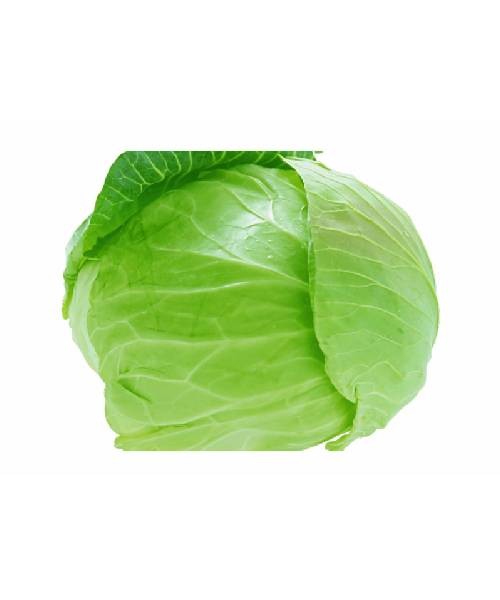 Cabbage Round - 1pc