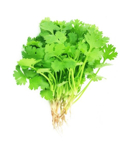 Coriander Leaves - 100g