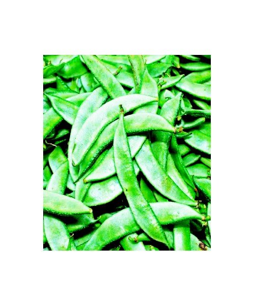 Broad Beans- 500g